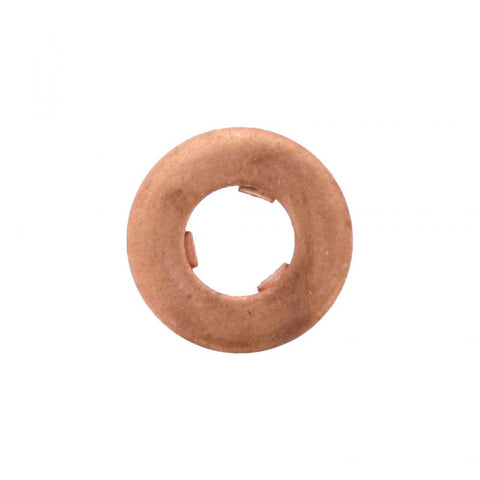 Pai 042089 Cummins 4893741 Copper Washer