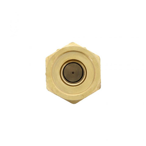 GENUINE PAI 042210 FUEL CHECK VALVE