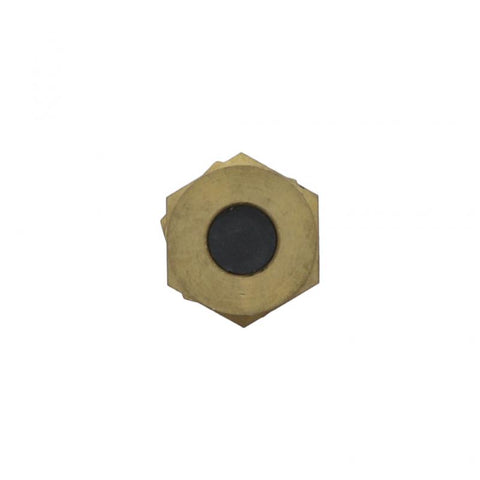 Pai 042210 Cummins 3028325 Fuel Check Valve