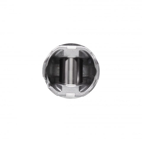 Pai 111599 Natural Gas Piston Kit