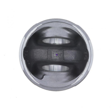 Pai 111601 Cummins 3944073 Piston