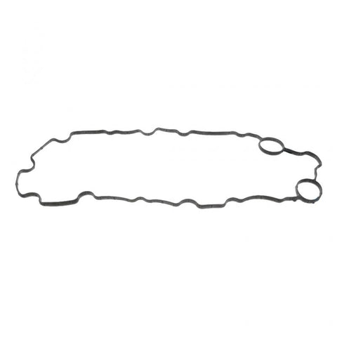 Pai 132099 Cummins 4975215 Filter Gasket