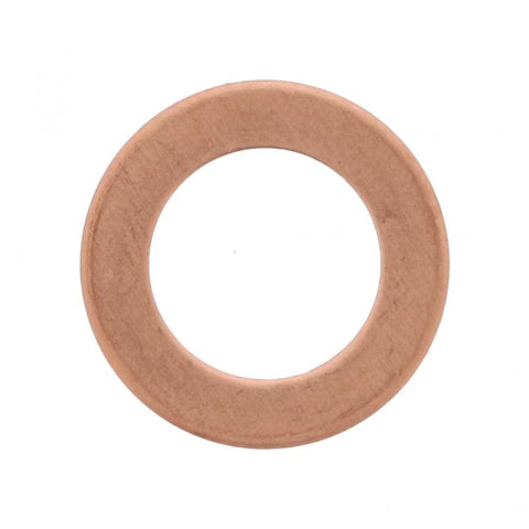 Pai 136124 Cummins 3967317 Washer