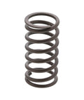 GENUINE PAI 141335 BYPASS SPRING