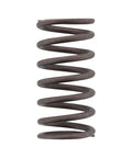 GENUINE PAI 141335 BYPASS SPRING