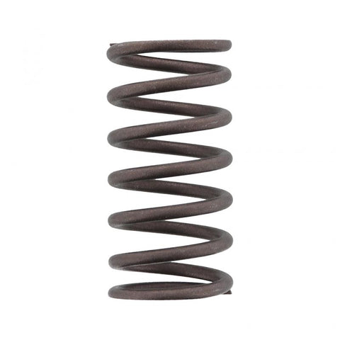 GENUINE PAI 141335 BYPASS SPRING