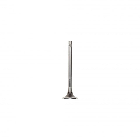 Pai 191958 Cummins 138887 Exhaust Valve