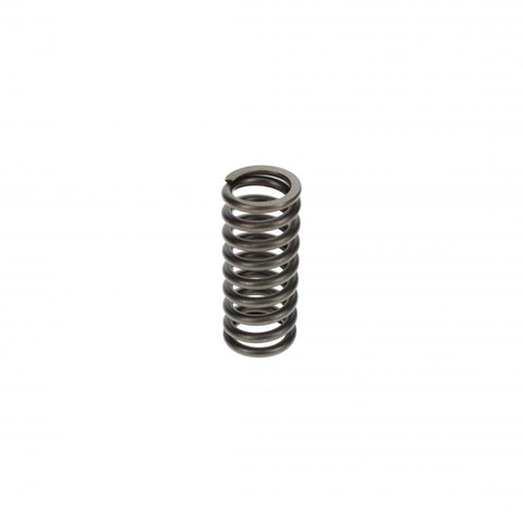 Pai 192048 Cummins 3033232 Valve Spring