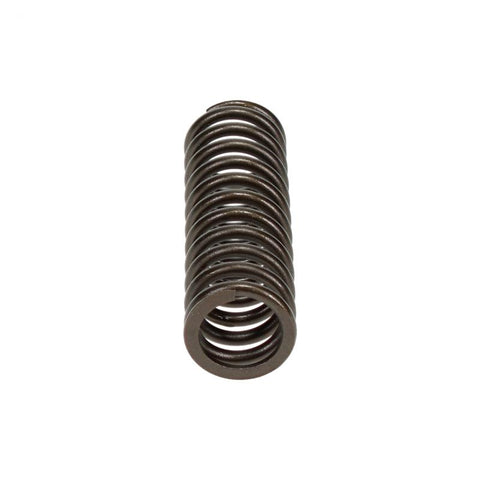 Pai 192049 Cummins 3033233 Valve Spring