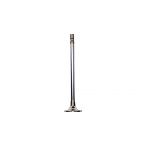 Pai 192146 Cummins 3394112 Exhaust Valve