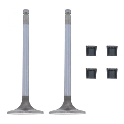 GENUINE PAI 192220 INTAKE VALVE KIT