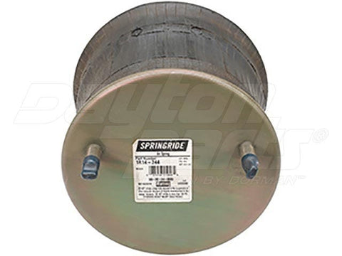 Dayton Parts 1R14-244 Suspension - Air Spring