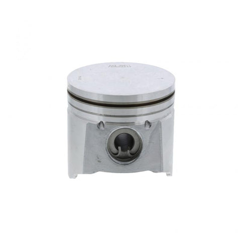 Pai 311209 Piston Kit (Natural Gas)