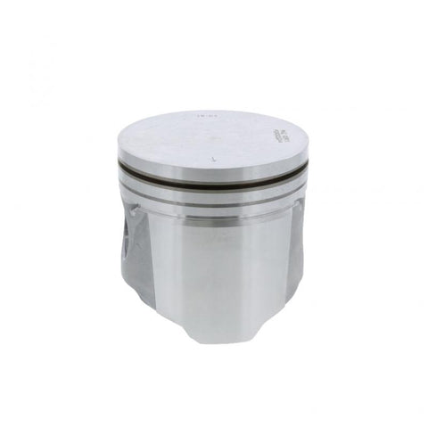 Pai 311209 Piston Kit (Natural Gas)