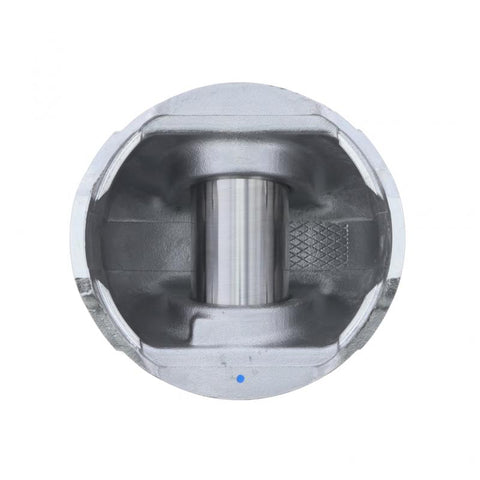 Pai 311209 Piston Kit (Natural Gas)