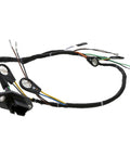 PAI 350532OEM Injector Harness Pai 350532OEM