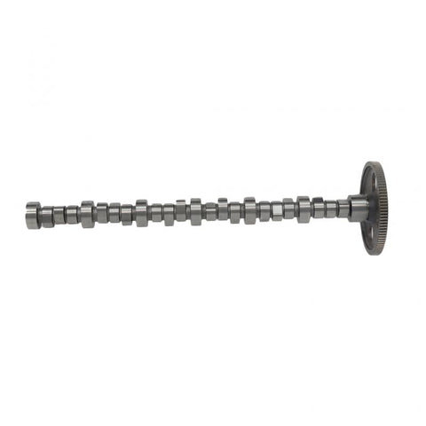 OEM 391889OEM CAMSHAFT