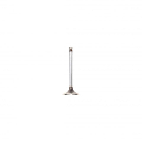 Pai 391958 Caterpillar 1007861 Exhaust Valve