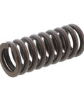 GENUINE PAI 392039 INTAKE VALVE SPRING