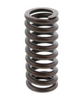 GENUINE PAI 392039 INTAKE VALVE SPRING