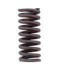 GENUINE PAI 392039 INTAKE VALVE SPRING