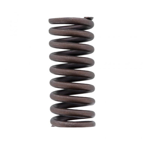 GENUINE PAI 392039 INTAKE VALVE SPRING