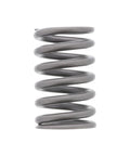 GENUINE PAI 392043 OUTER VALVE SPRING