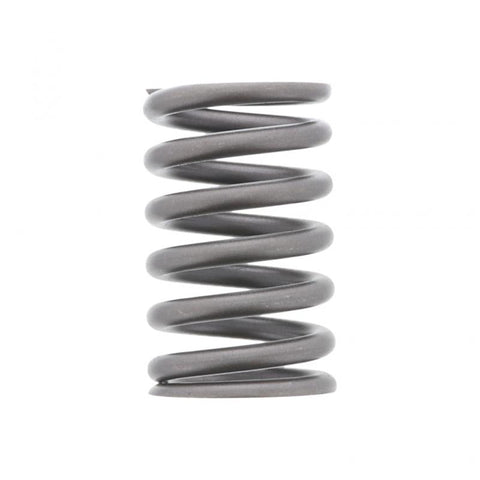 GENUINE PAI 392043 OUTER VALVE SPRING