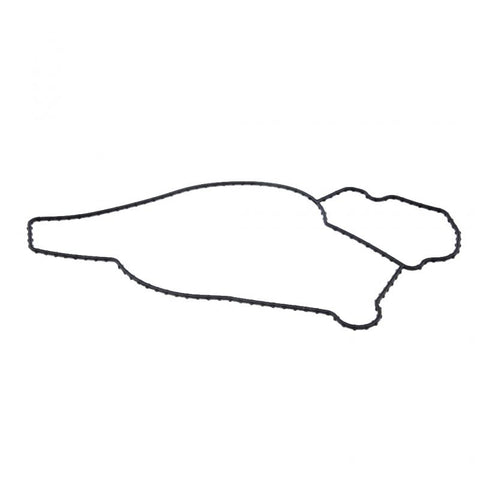 Oem 431302OEM Navistar 1858160C1 Water Pump Gasket