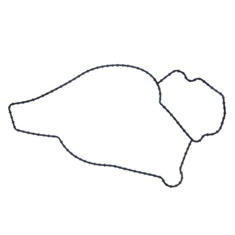 Oem 431302OEM Navistar 1858160C1 Water Pump Gasket