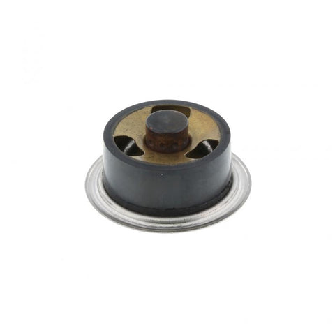 Pai 481827 Navistar 1807974C94 Thermostat