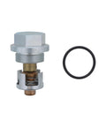 GENUINE PAI 481848 VALVE KIT