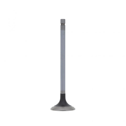 Pai 491005 Navistar 1824838C1 Exhaust Valve