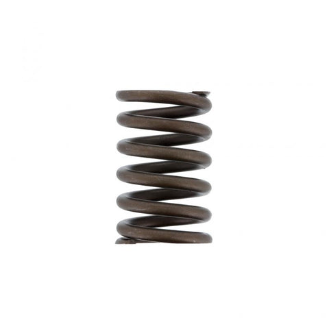 Pai 491030 Navistar 677349C1 Valve Spring