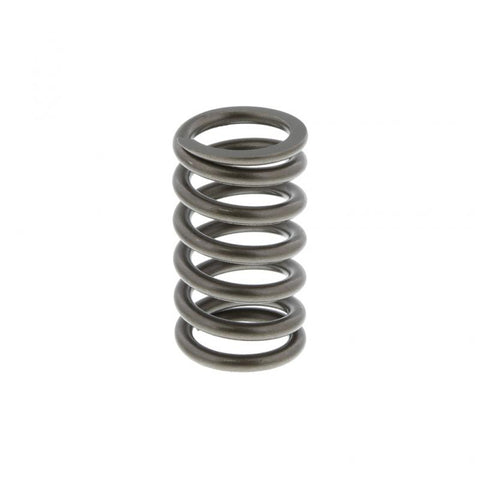 Pai 491031 Navistar 1825540C1 Exhaust Spring
