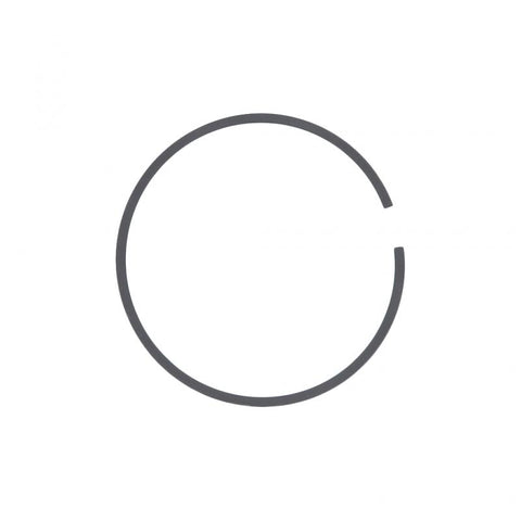 Pai 505078 Cummins 3902400 Oil Control Ring