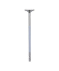 OEM 691900OEM INTAKE VALVE