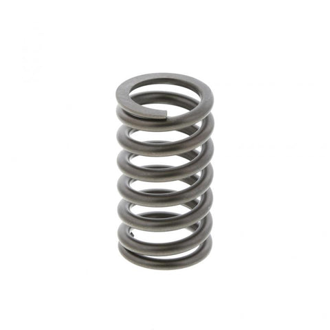 Pai 692030 Mercedes A5410530120 Valve Spring