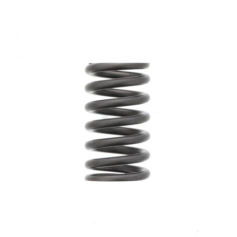 Pai 692030 Mercedes A5410530120 Valve Spring