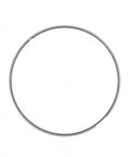 GENUINE PAI 805053 RING