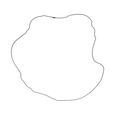 GENUINE PAI 831132 INTAKE GASKET