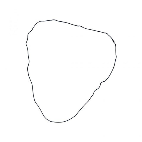 OEM 831132OEM INTAKE GASKET