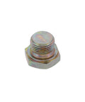 GENUINE PAI 840060 PLUG