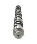 OEM 891913OEM CAMSHAFT