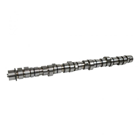Oem 891916OEM Mack 21219818 Camshaft