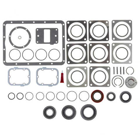 OEM 900466OEM BEARING AND SEAL KIT