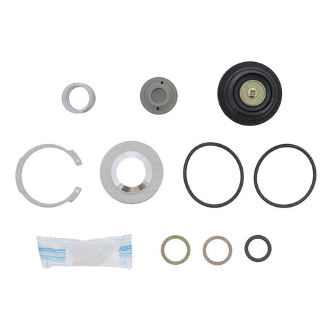 Pai 940621 Rockwell R950014 Purge Valve Kit