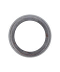 GENUINE PAI 960110 DUST SHIELD