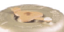 Haldex 9999039 Miscellaneous Parts