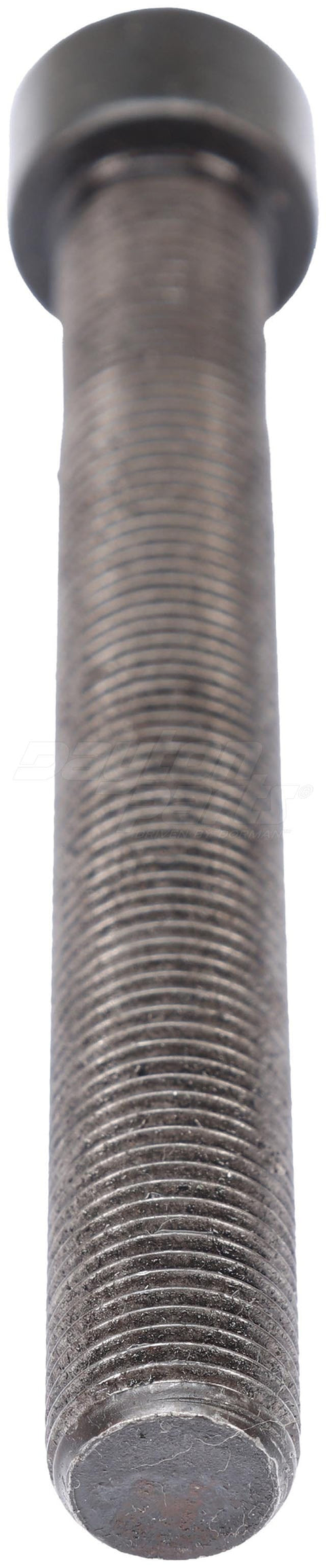 Dayton Parts CB-1540 Center Bolt And Nut